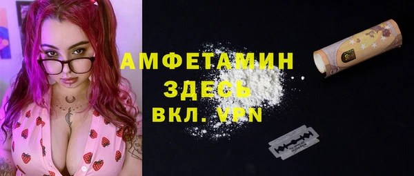 винт Верея