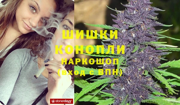 сатива Верхний Тагил