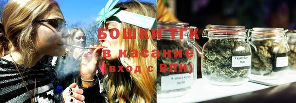 сатива Верхний Тагил