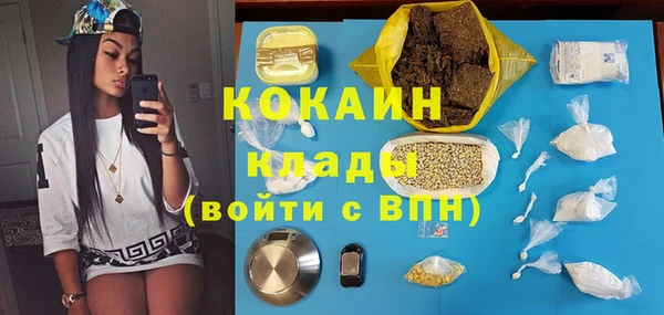 винт Верея