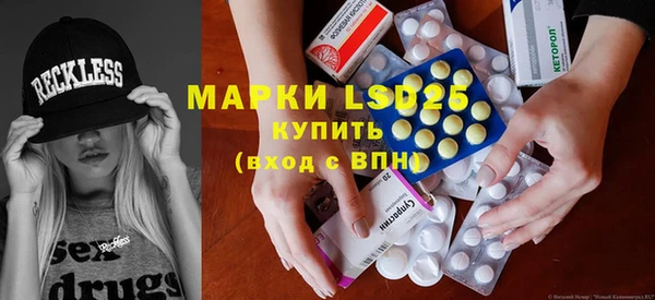 винт Верея