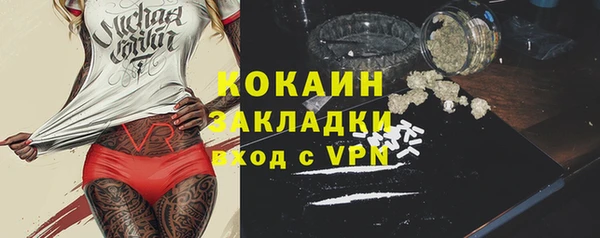 винт Верея